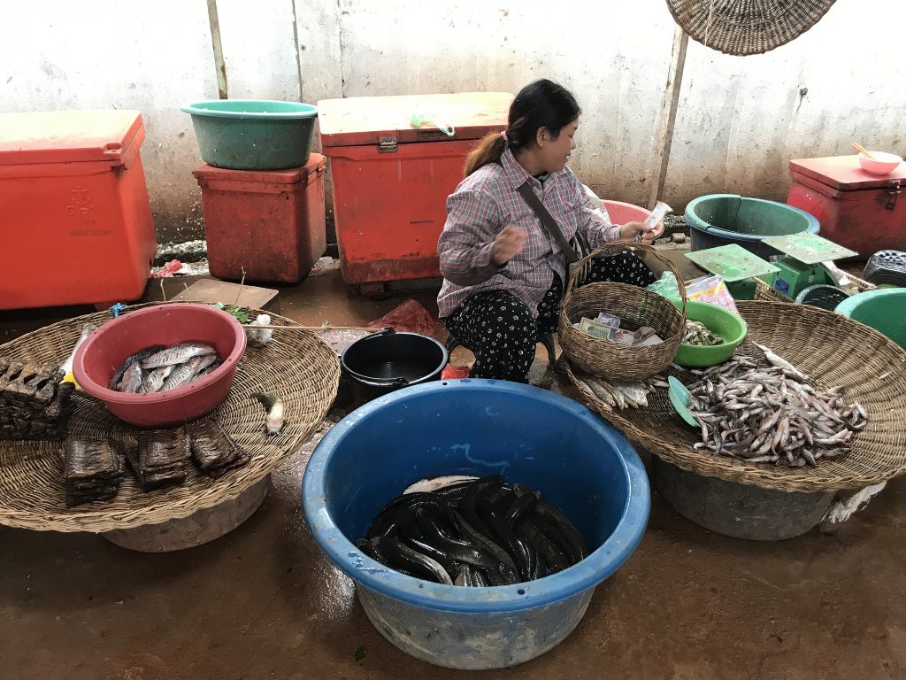 Cooking Class in Cambodia-market