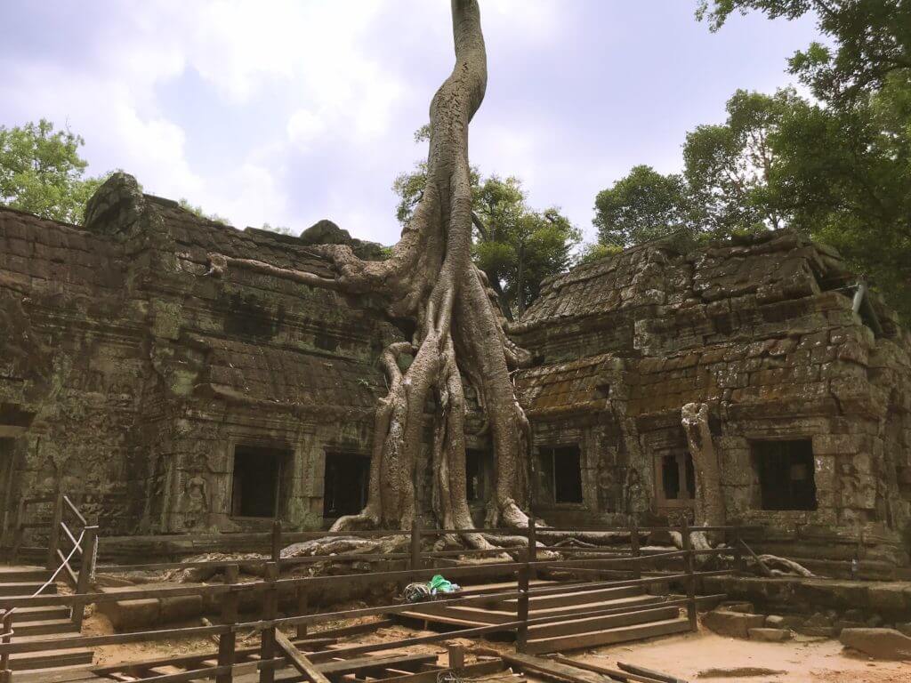 吳哥窟-TA PROHM