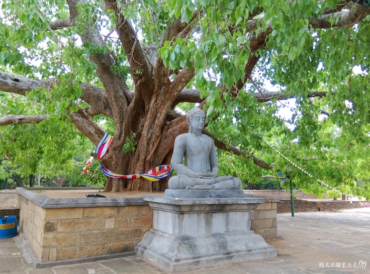 斯里蘭卡 Abyhayagiri
