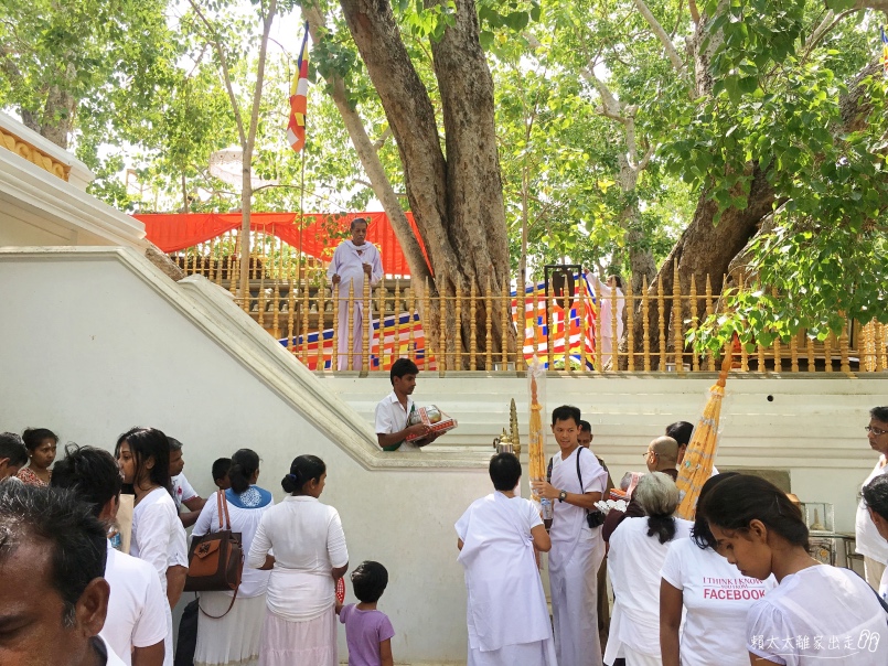Sri Maha Bodhi