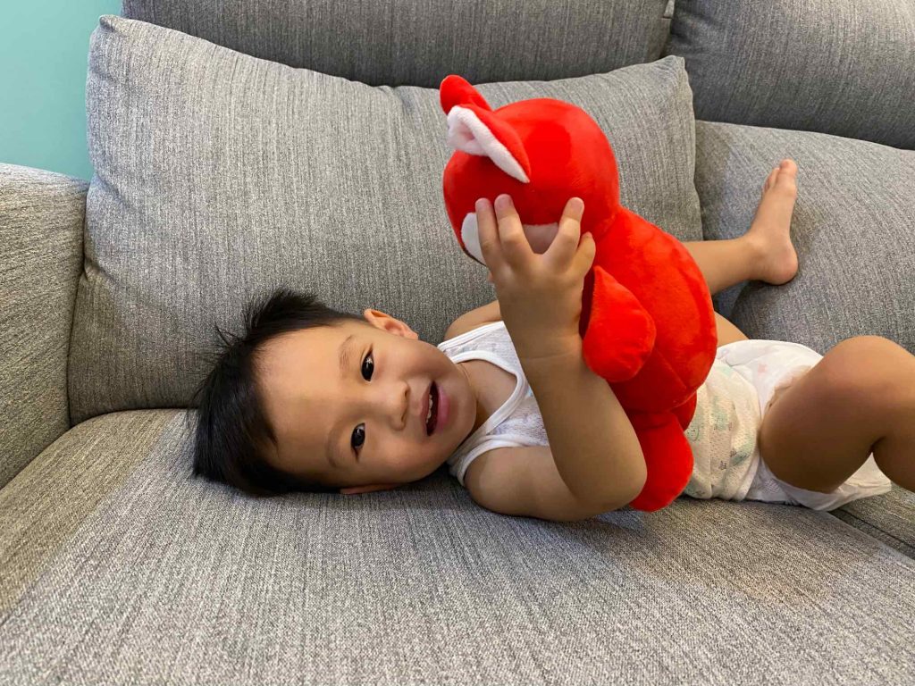 JN. Toy