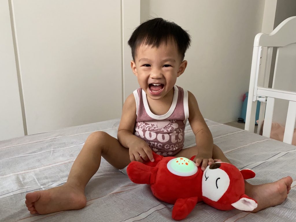 JN. Toy