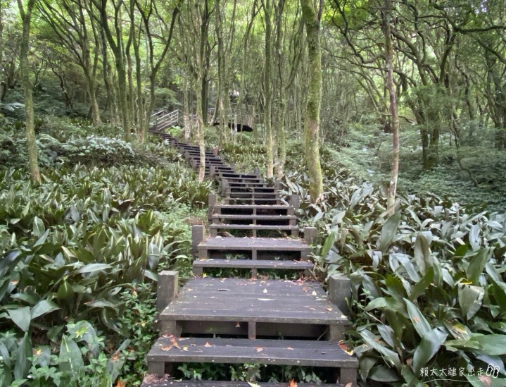 青楓步道