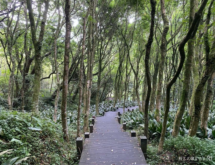 青楓步道