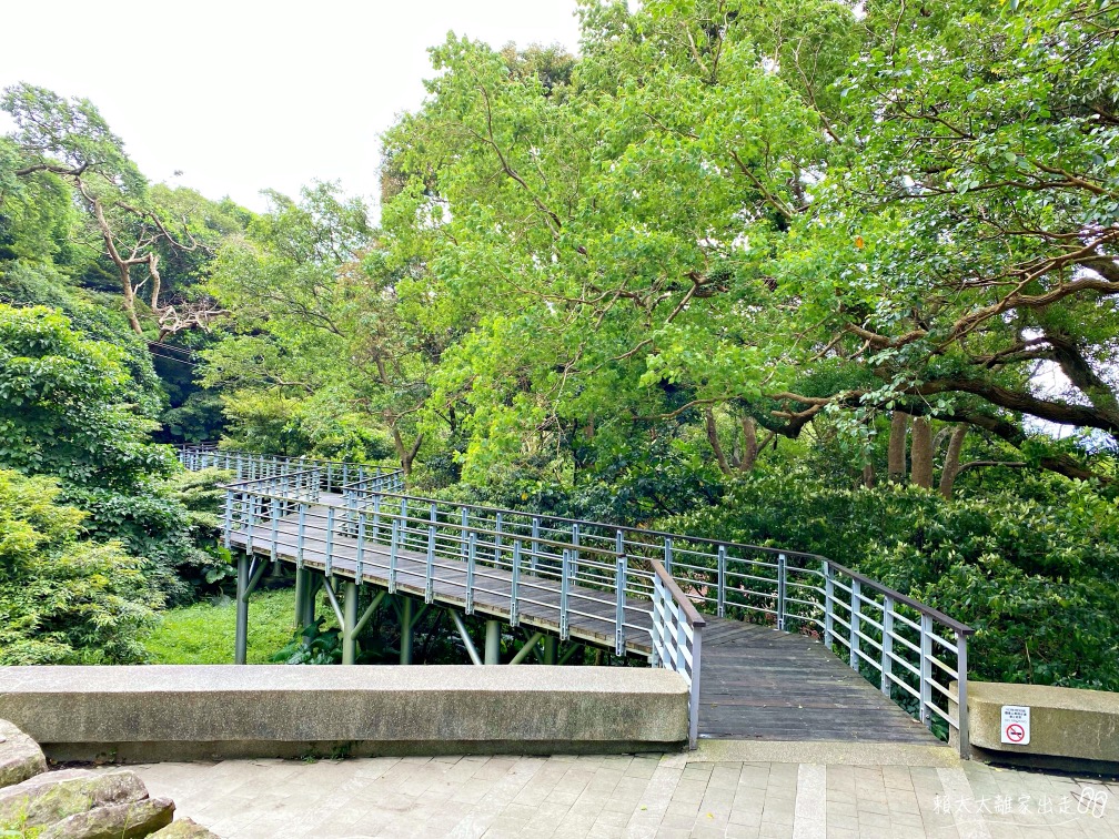林梢步道