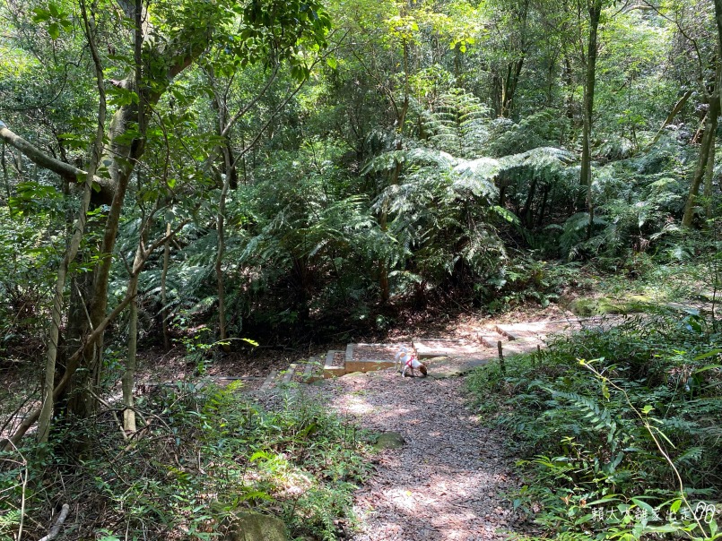 翠山步道