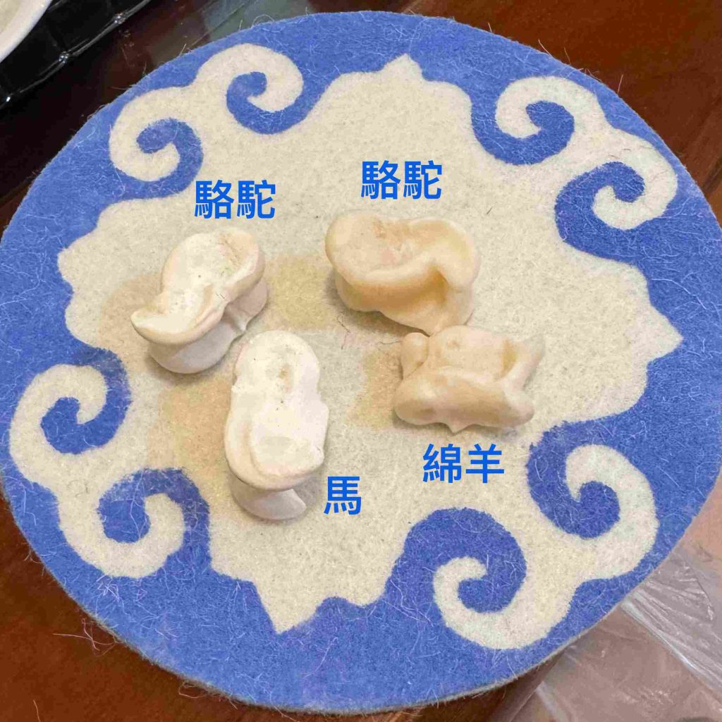沙嘎占卜實例