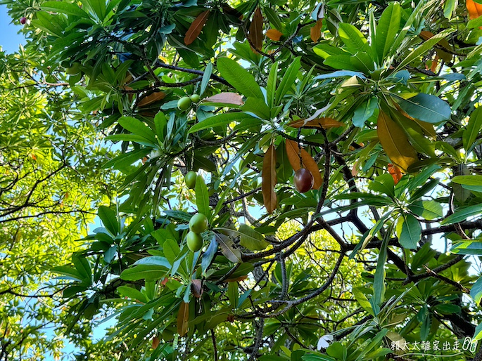 北關海潮公園