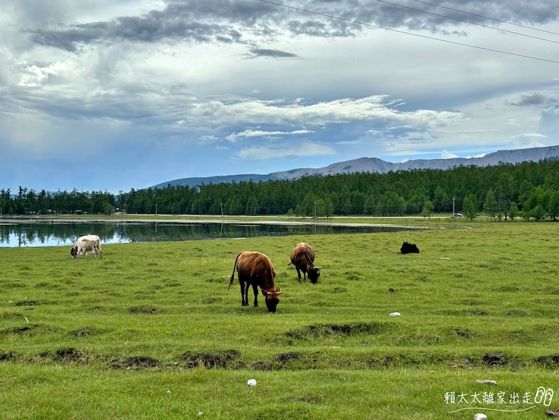 Toilogt tourist camp